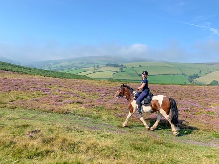 Three Day Welsh Border Trail 